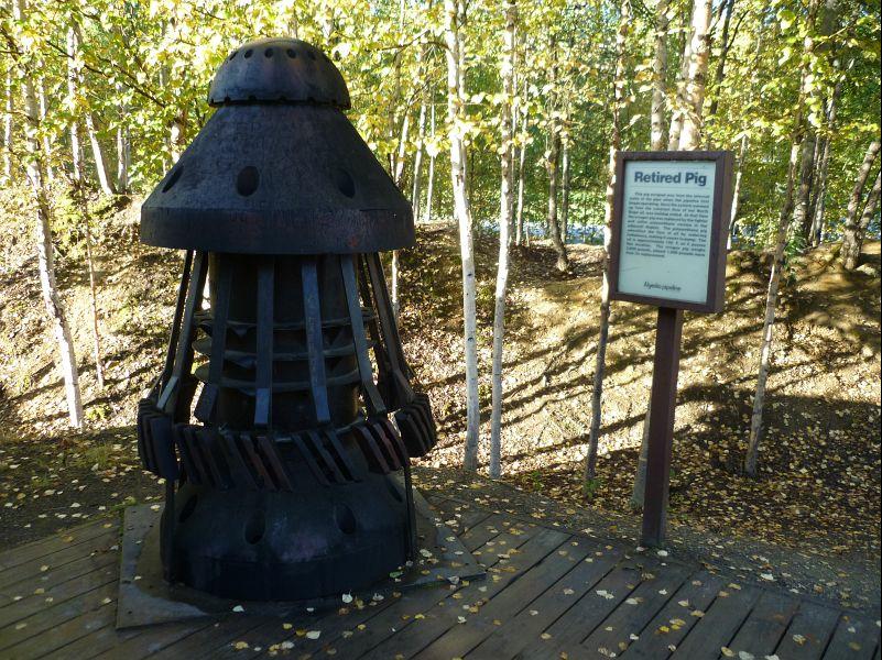 P1000550 retired pig